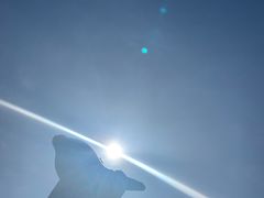 -远洋未来广场(育慧北路店)