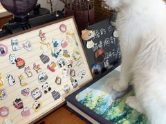 -有猫主题·治愈系猫咖(曾厝垵店)