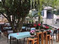 -张鸟园农家乐(张鸟园店)