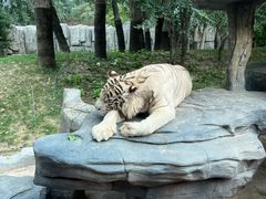 -北京野生动物园