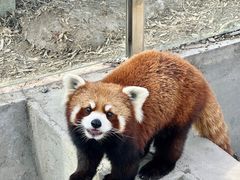 -水上乐园·欢乐世界