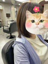-DK SALON连锁专业烫染接发店