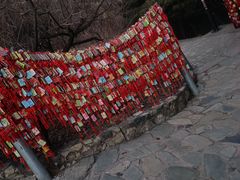 -香山公园