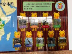 -石家庄市动物园