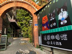-有猫主题·治愈系猫咖(曾厝垵店)