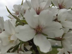 -白塘生态植物园