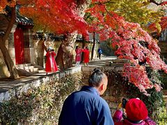 -青岛崂山太清宫