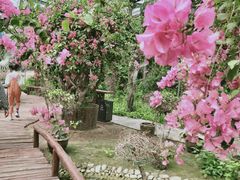 -呀路古热带植物园