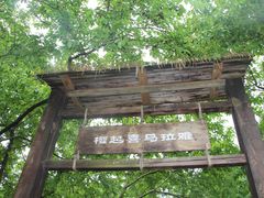 -天适樱花悠乐园