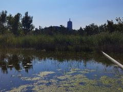 -永定河休闲森林公园