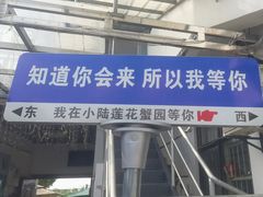 -小陆莲花蟹园农家乐(莲花岛店)