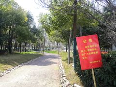 -滨湖塘西河公园