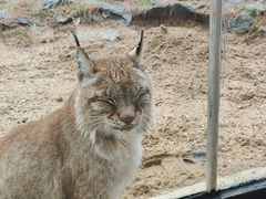 -杭州野生动物世界
