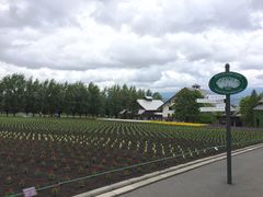 -富田农场