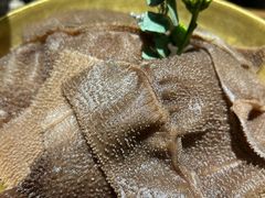 -巴奴毛肚火锅(九洲店)