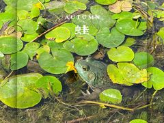 -北坞公园