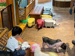 -杭州开元森泊度假乐园