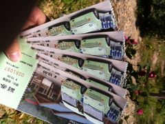 电瓶车-九鲤湖风景区