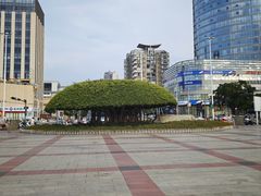 -南宁南湖公园