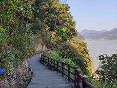 -羚羊峡古栈道森林公园