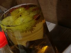 -探窝·竹笙椰子鸡(杨箕店)