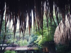 -中国茶叶博物馆(双峰馆区)