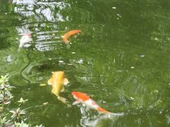 -广富林宰相府酒店·水云间