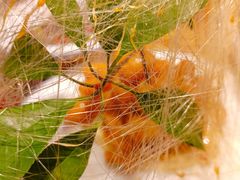 -映像徐州(滨湖店)