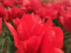 -廊坊文化艺术中心