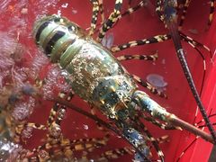 -幸福姐海鲜大排档