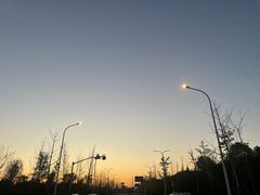 -上海滨江森林公园