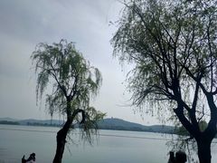 -渤公岛生态公园