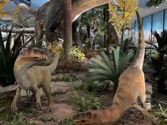 -湖南省地质博物馆