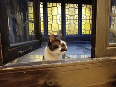 -猫的天空之城概念书店(杭州南宋御街店)