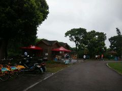 android_upload_pic-梁鸿国家湿地公园