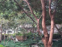 -复旦大学附属华山医院(江苏路分部)