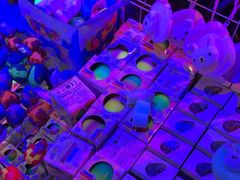 -水巷子·巴掌腰片重庆火锅(云纺店)