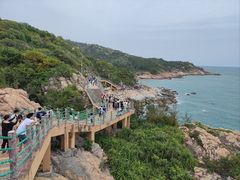 -广东惠东海龟国家级自然保护区