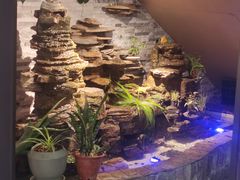 -会宾园·云山宴中餐