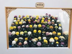 -共青国家森林公园-南大门停车场