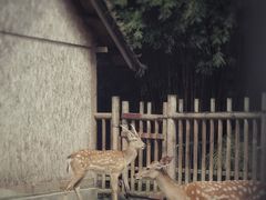 -金沙遗址博物馆