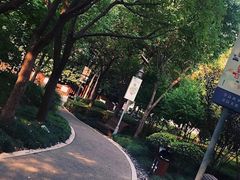 -陈家山荷花公园