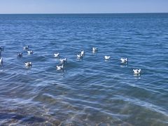 -青海湖二郎剑景区
