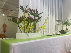 -山水茶艺馆·点心粤菜·30年老字号