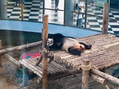 -大连森林动物园