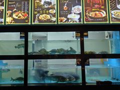 -巴黎春天(浦建店)