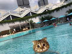 -新加坡泛太平洋酒店