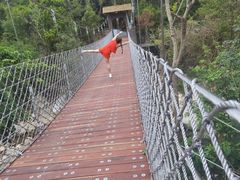 -海南热带雨林国家公园吊罗山景区