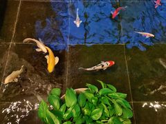 -天津海河悦榕庄·Lobby Lounge大堂吧