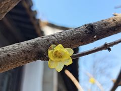 -惠山古镇·寄畅园